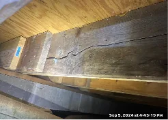crawl space repair wood rot